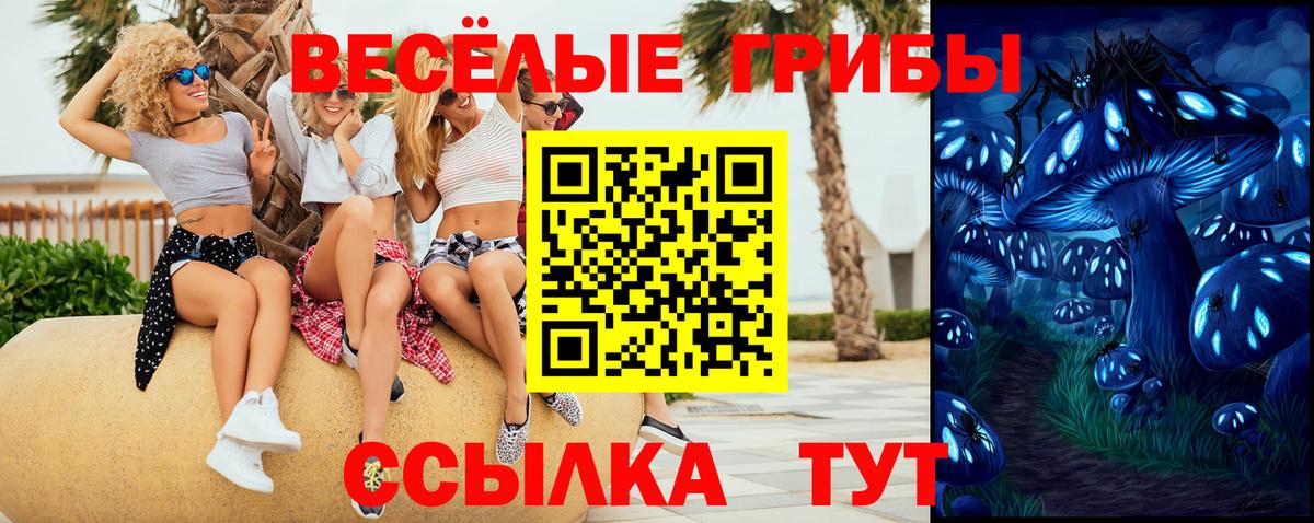 Нововоронеж  Псилоцибиновые грибы Psilocybine cubensis  Вход с VPN  Псилоцибиновые грибы прущие грибы 