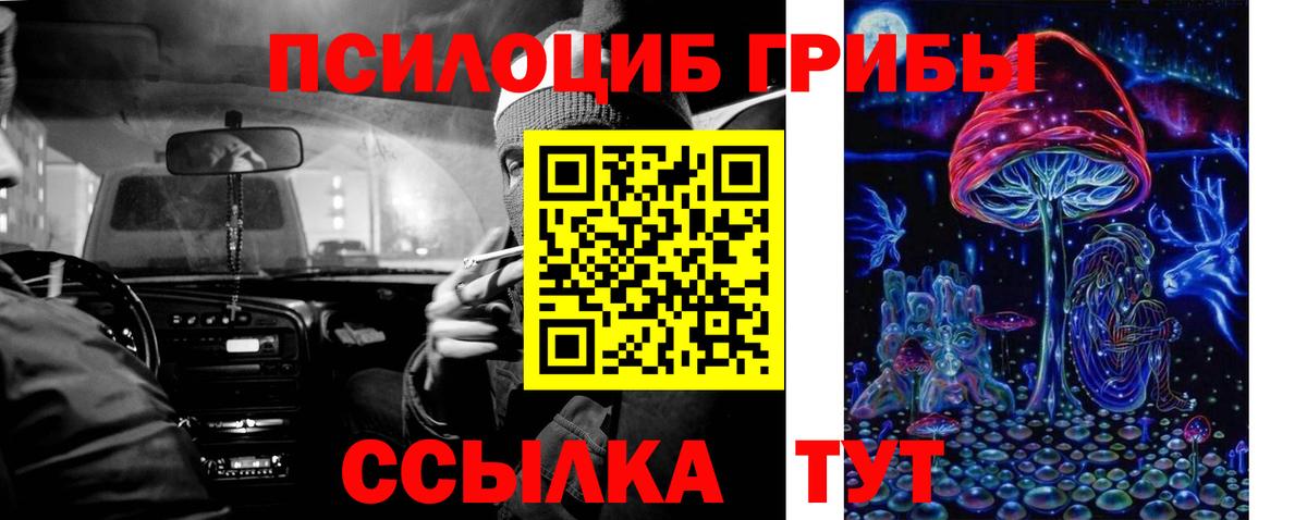 Галлюциногенные грибы мухоморы Нововоронеж